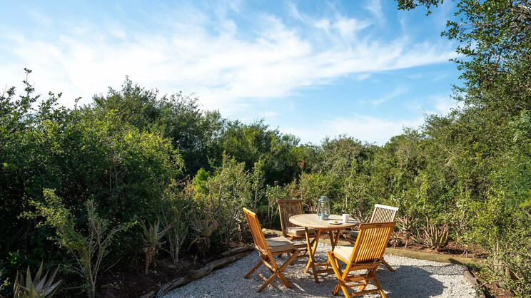 Shamwari Game Reserve Riverdene Family Lodge